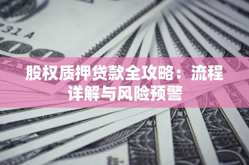 武汉股权质押贷款全攻略：流程详解与风险预警
