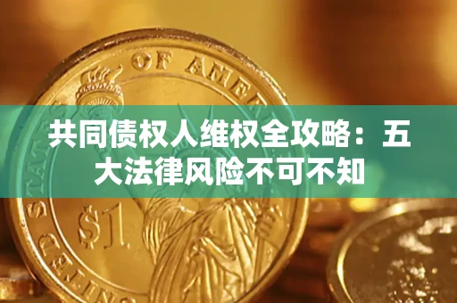 武汉共同债权人维权全攻略：五大法律风险不可不知