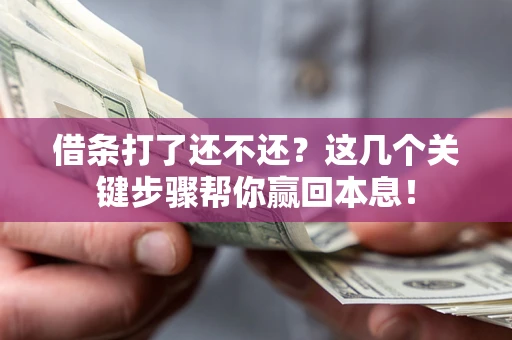 武汉借条打了还不还？这几个关键步骤帮你赢回本息！
