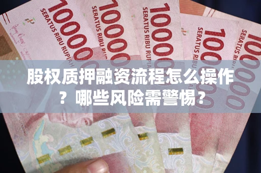 武汉股权质押融资流程怎么操作？哪些风险需警惕？