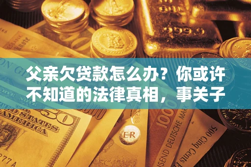 武汉父亲欠贷款怎么办？你或许不知道的法律真相，事关子女未来