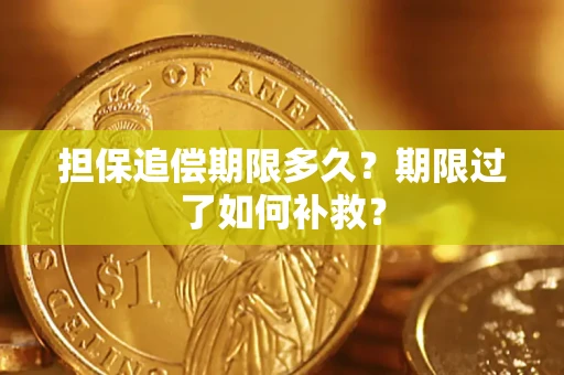 武汉担保追偿期限多久？期限过了如何补救？