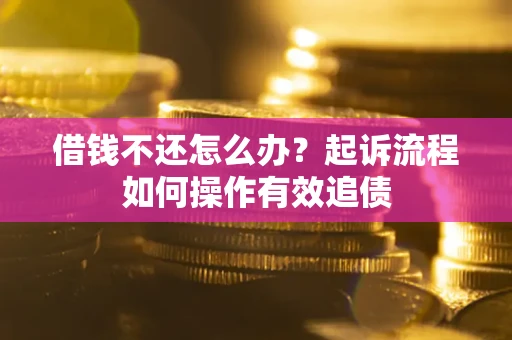 武汉借钱不还怎么办？起诉流程如何操作有效追债
