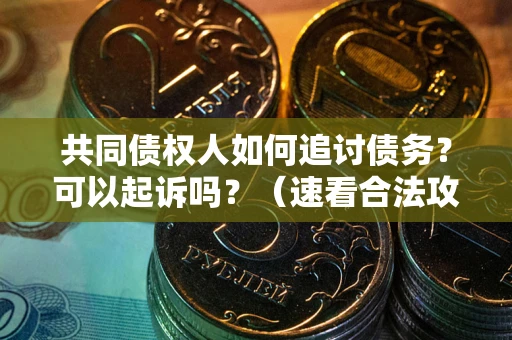 武汉共同债权人如何追讨债务？可以起诉吗？（速看合法攻略）