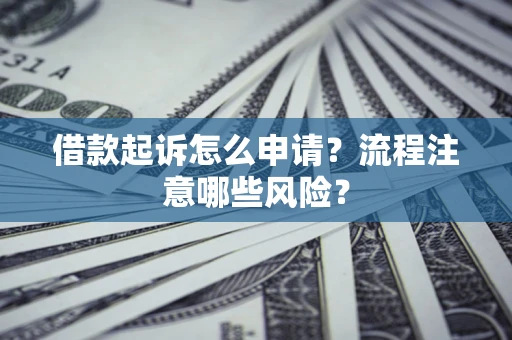 武汉借款起诉怎么申请？流程注意哪些风险？
